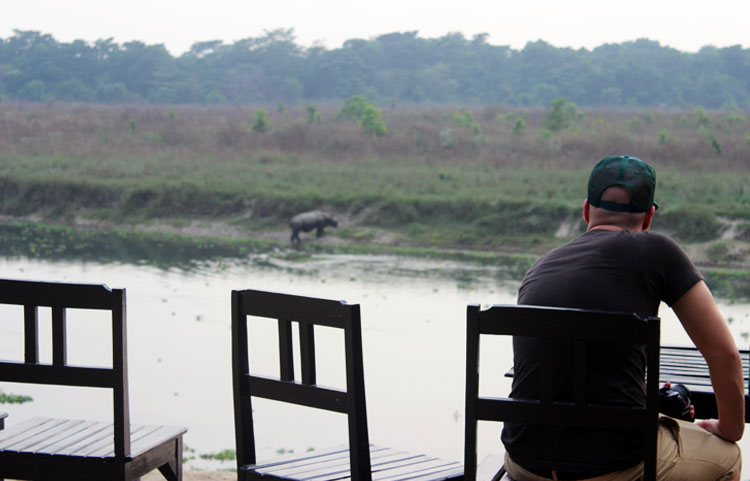 A rare Rhino view from Chitwan hotel